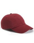 Adult Bio-Washed Classic Dad Hat